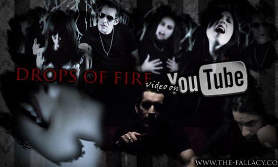 The Fallacy Video